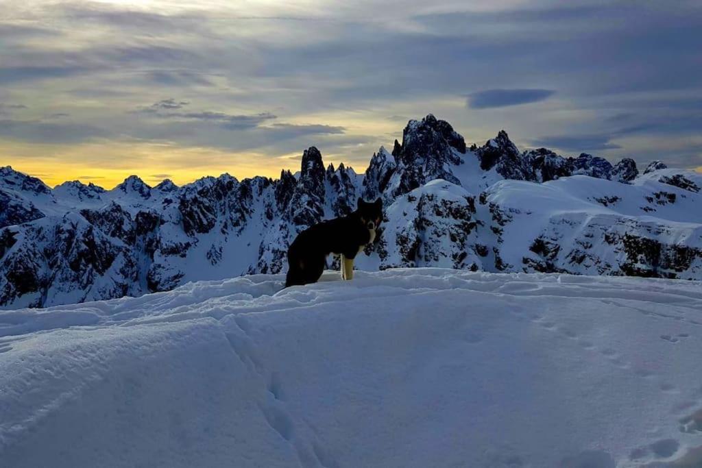 Appartamento Daniela Dolomiti. Auronzo di Cadore Exterior foto